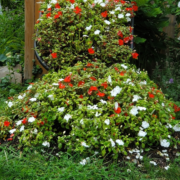 Meet your posher 🇨🇦Kim🇨🇦 - Picture 5 of 9